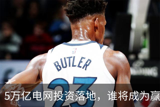 5万亿电网投资落地，谁将成为赢家？